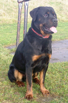 Kaiser